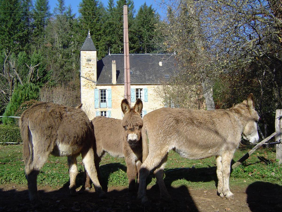 Le Moulin De Planiol Bed & Breakfast Le Vigan  Exterior foto